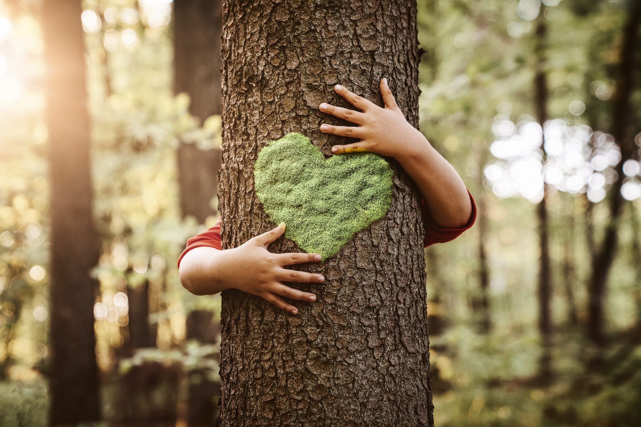 Bilden visar ett barn som kramar om ett träd som har ett grönt hjärta. Bilden symboliserar Länsgårdens arbete med miljö